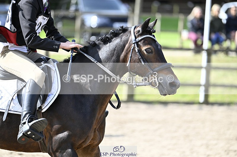 240823X-102416-15161 - 60cm R2 9.30 to 11.00