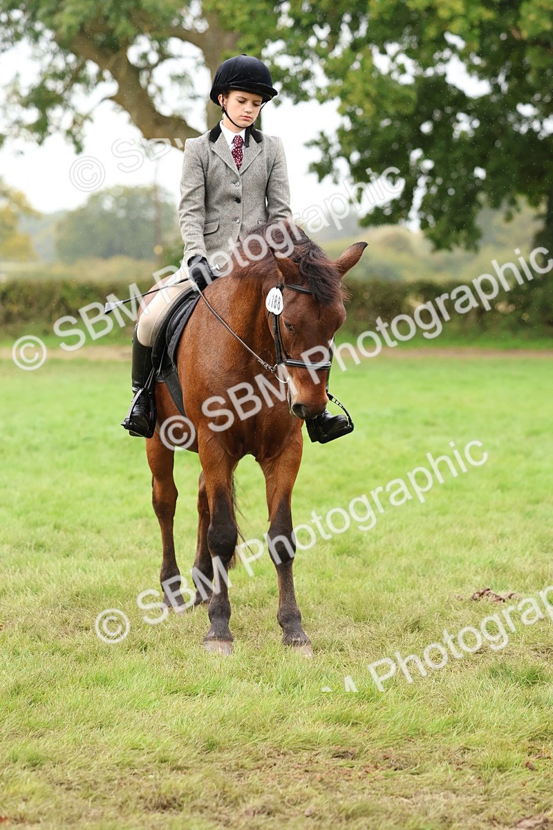 SBM_69607 - S62 - Mountain & Moorland Ridden Large Breeds