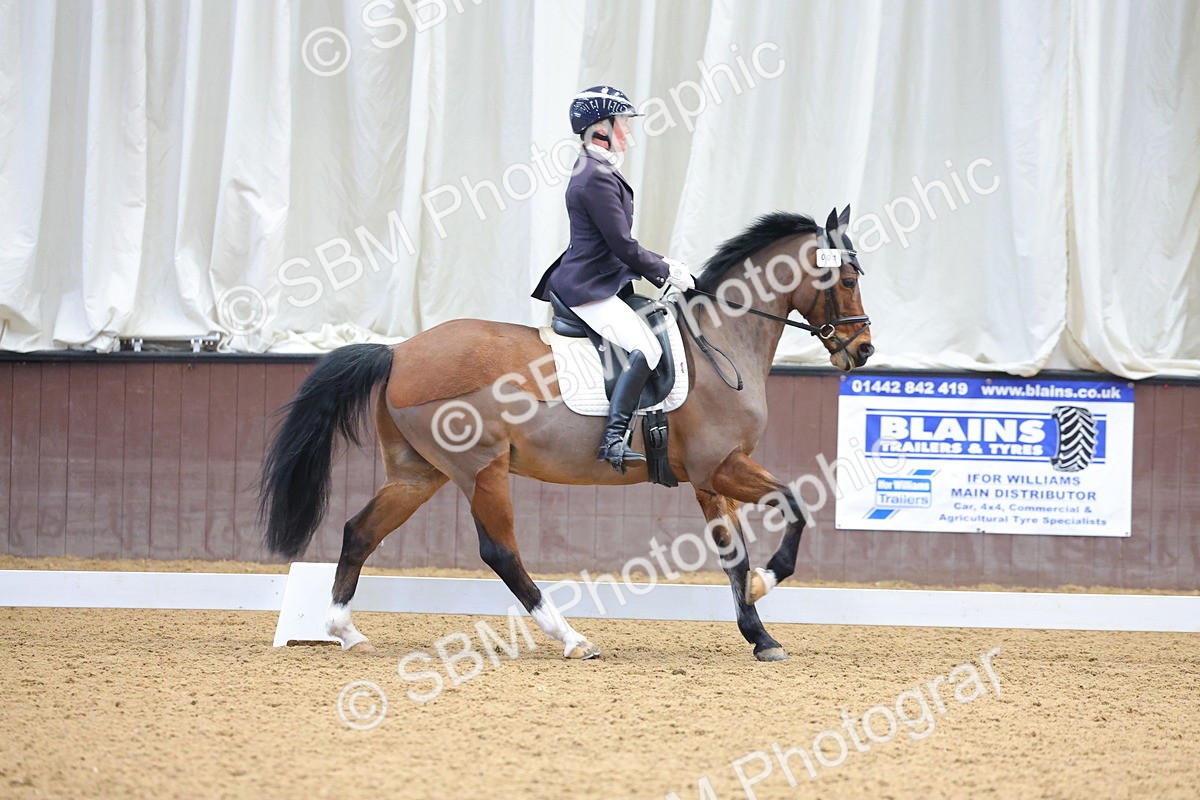 1I0A8766 - Class 4 - Novice 4