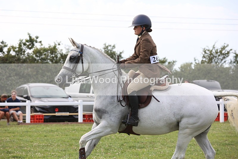 JPP_4156 - Class 25: Working Show Horse