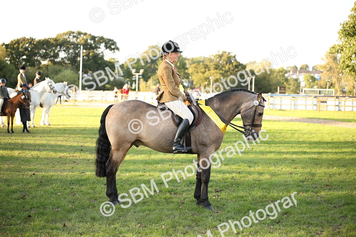 SBM_54486 - S27 - Mature Veteran - Ridden