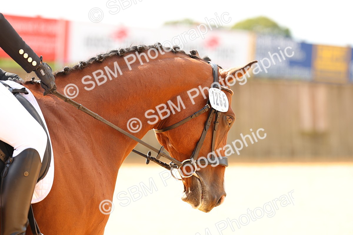 SBM_43861 - D6 - Small Tour Championship - Intro C