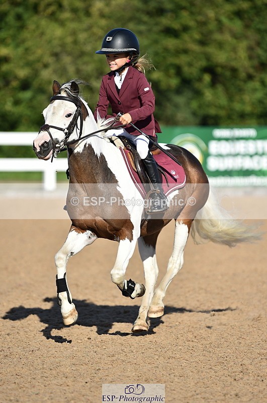 230903A-092732-03519 - Cls 17 Pony Intro 75cm