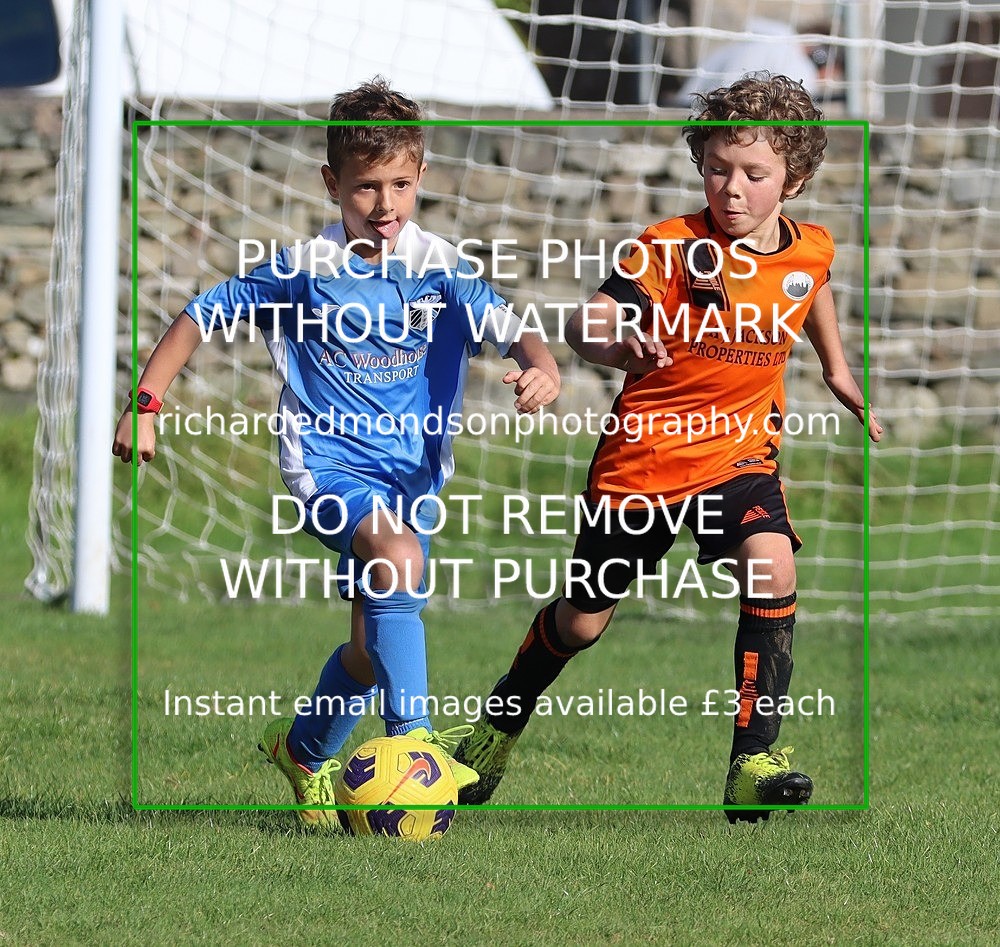 IMG_7554 - Wattsfield Under 8 v Kirkby Stephen Under 8 (8/10/22)
