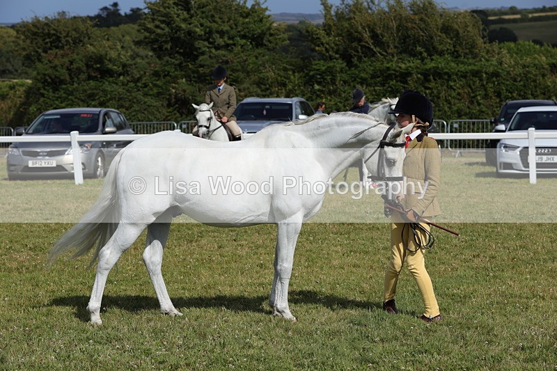 1X9A5806 - Class 40: NPS Welsh A & B