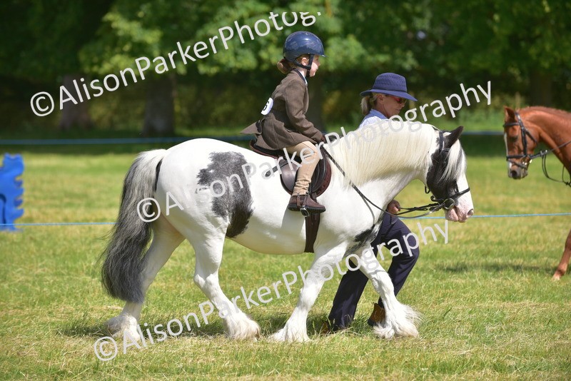 20260614-1180 - Class 11a - Lead Rein Pony (Unplaited)