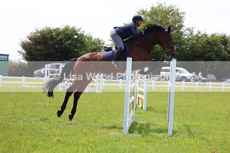 3E7A1380 - Class 12: Senior Foxhunter/1.20 open