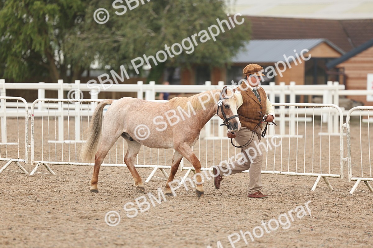 SBM_08459 - Class 29 - IH Veteran Pony