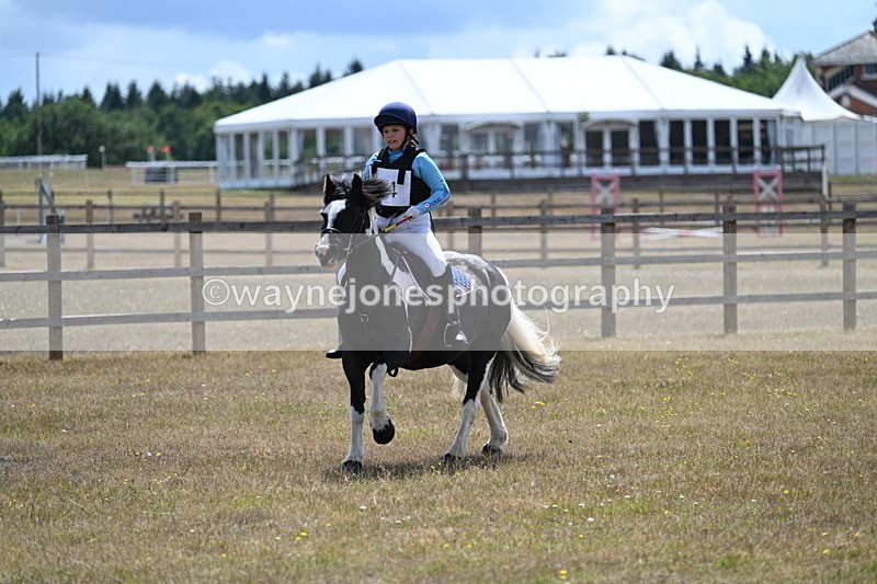 WJ7_0228 - 40cm Time 11:47 to 12:01