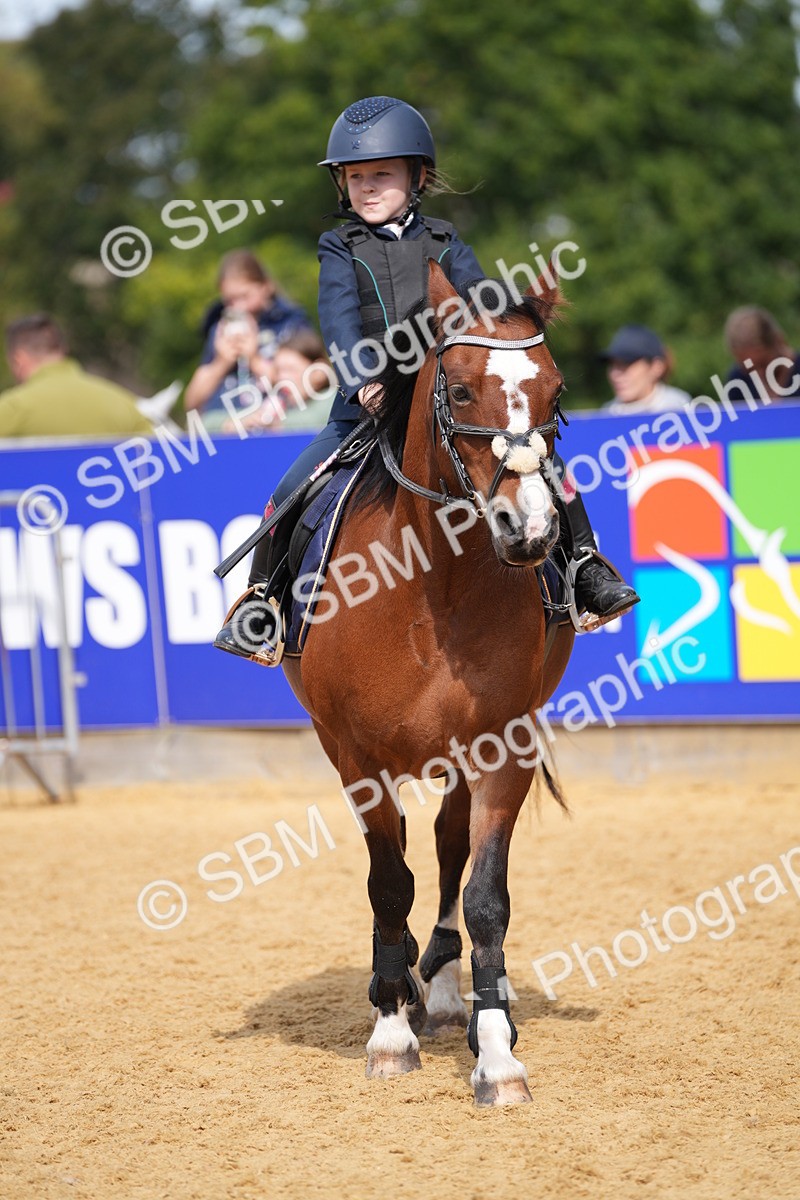 SBM_65776 - J2 - Mini Tour Junior Pony 30cm Championship