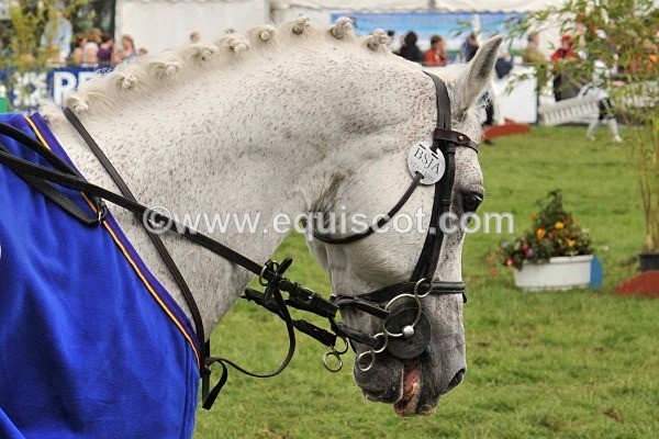 DSC_4256 - 26TH JUNE 2011 - 138CMS SJSS CHAMPIONSHIP FINAL, ROYAL HIGHLAND SHOW 2011