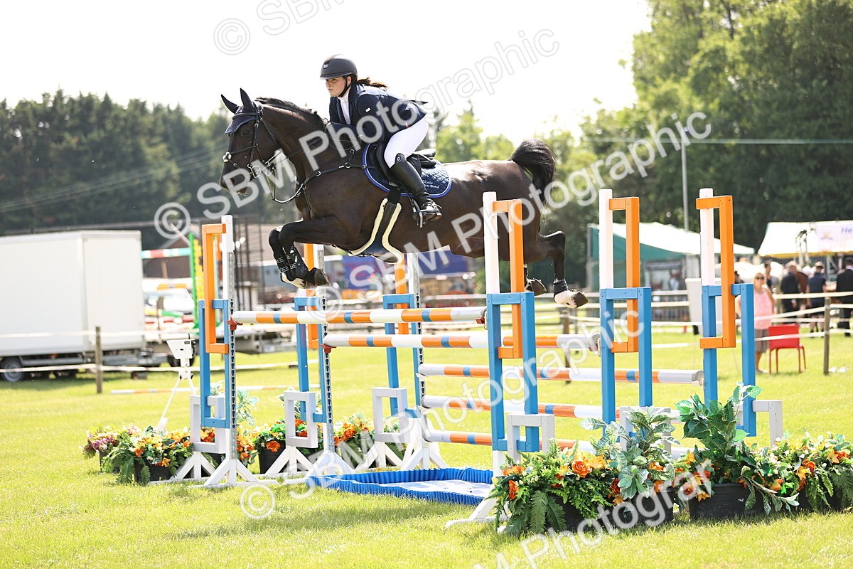 SBM_03081 - Class 201 - British Horse Feedds Speedi Beet HOYS Grade C