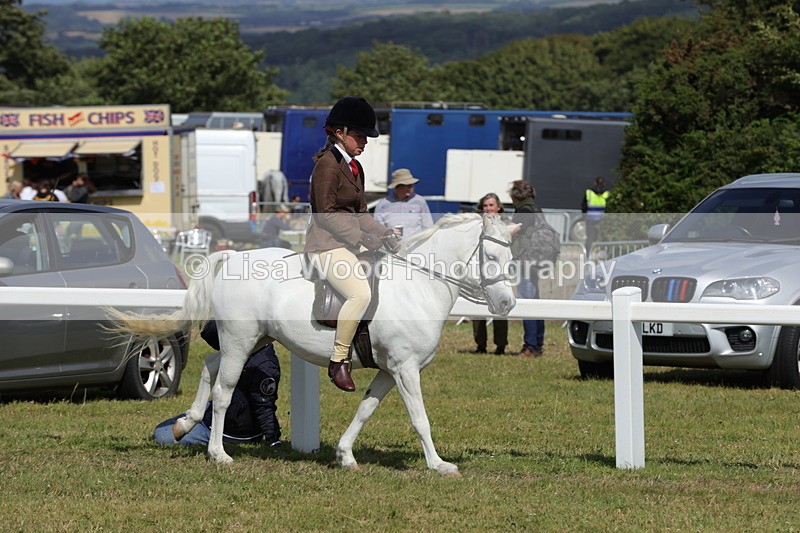 1X9A5679 - Class 40: NPS Welsh A & B