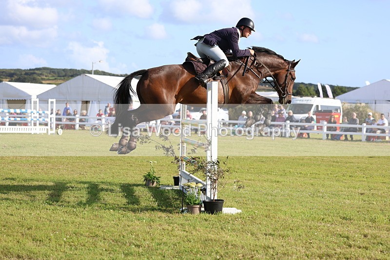 3E7A4431 - Class C: Showjumping Senior Foxhunter