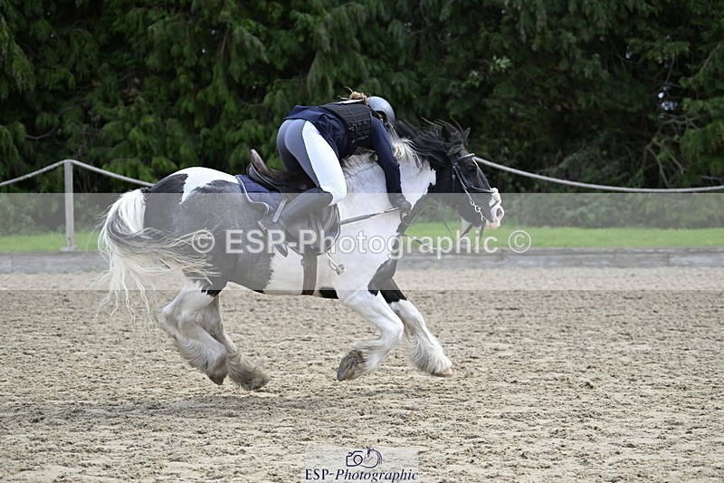 251005A-121448-03671 - Cls 08 Mini 70-75cm