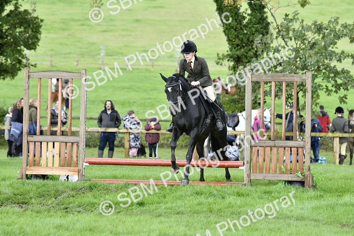 SBM_41504 - S32 - Mountain & Moorland Working Hunter Pony