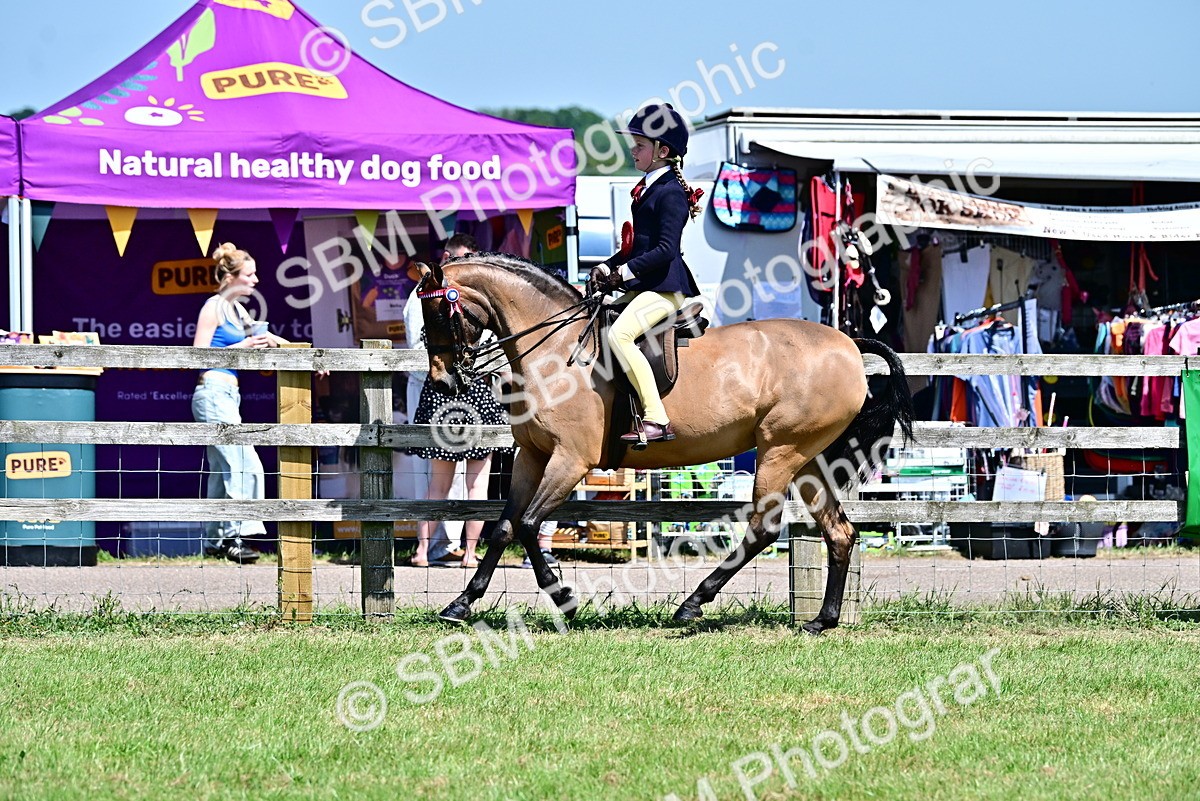 SBM_17551 - Class 95-97 - BSPS LHS Performance Ponies