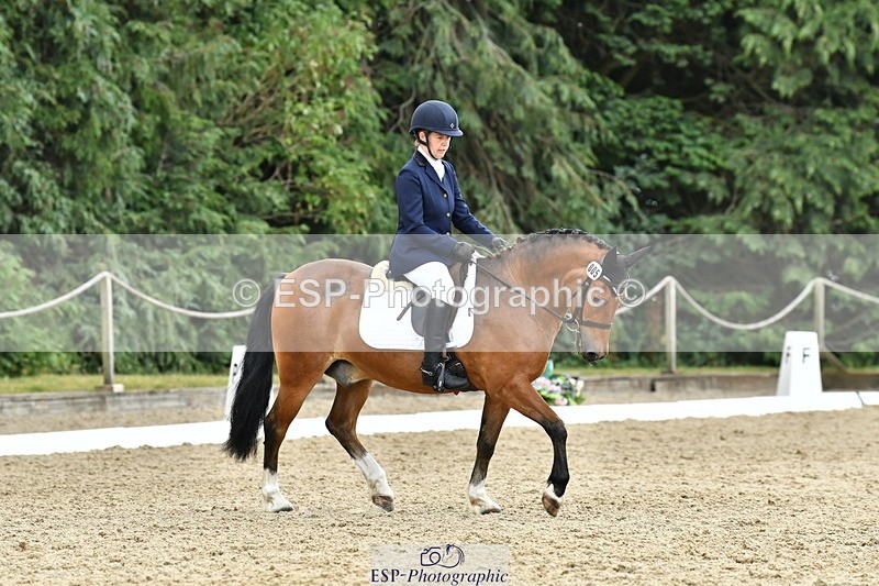 260801A-125630-04101 - Prelim Bronze Break - End