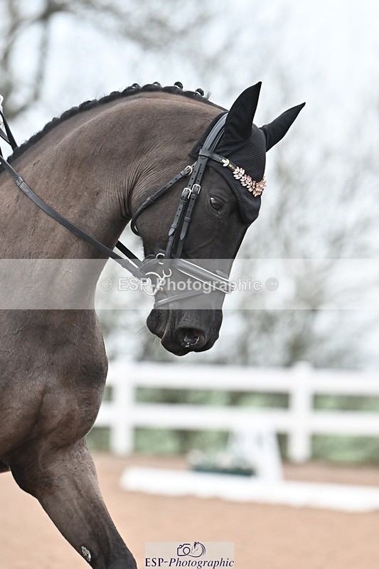 250216-101600-04588 - 213-Martyn.Humphrey-Isabeau.May