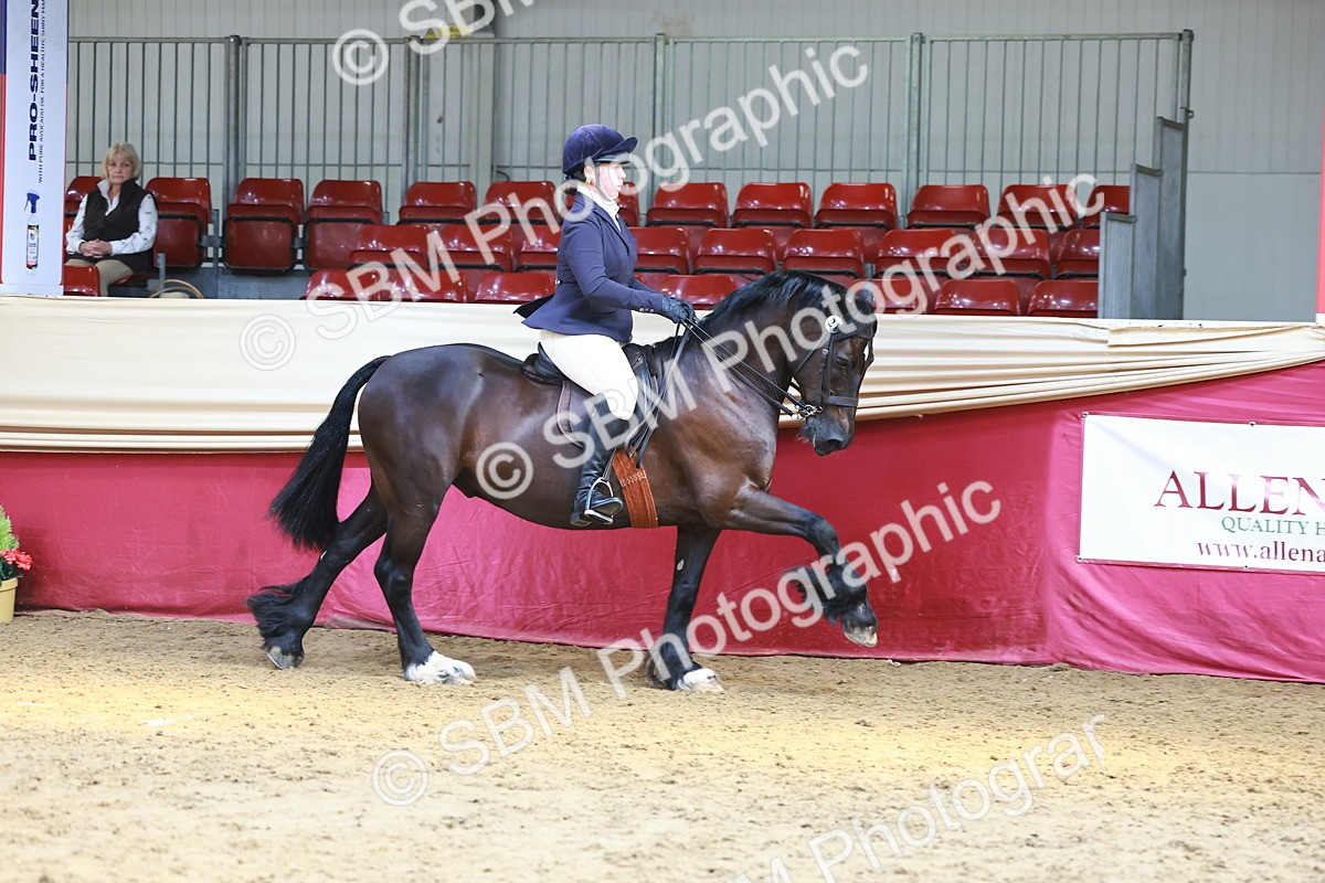 SBM_23921 - Class 905 - Supreme Final - Ridden Veteran