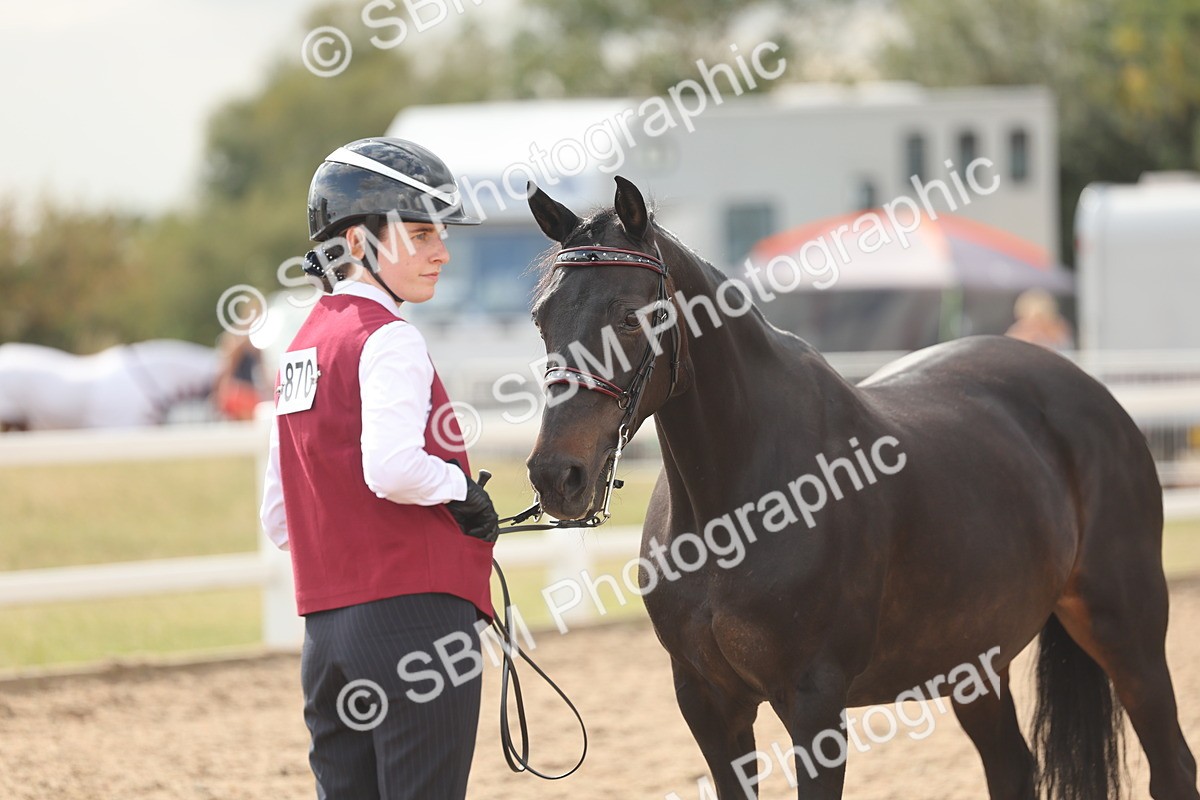 SBM_06890 - Class 25 - IH Foreign Breeds - Purebred