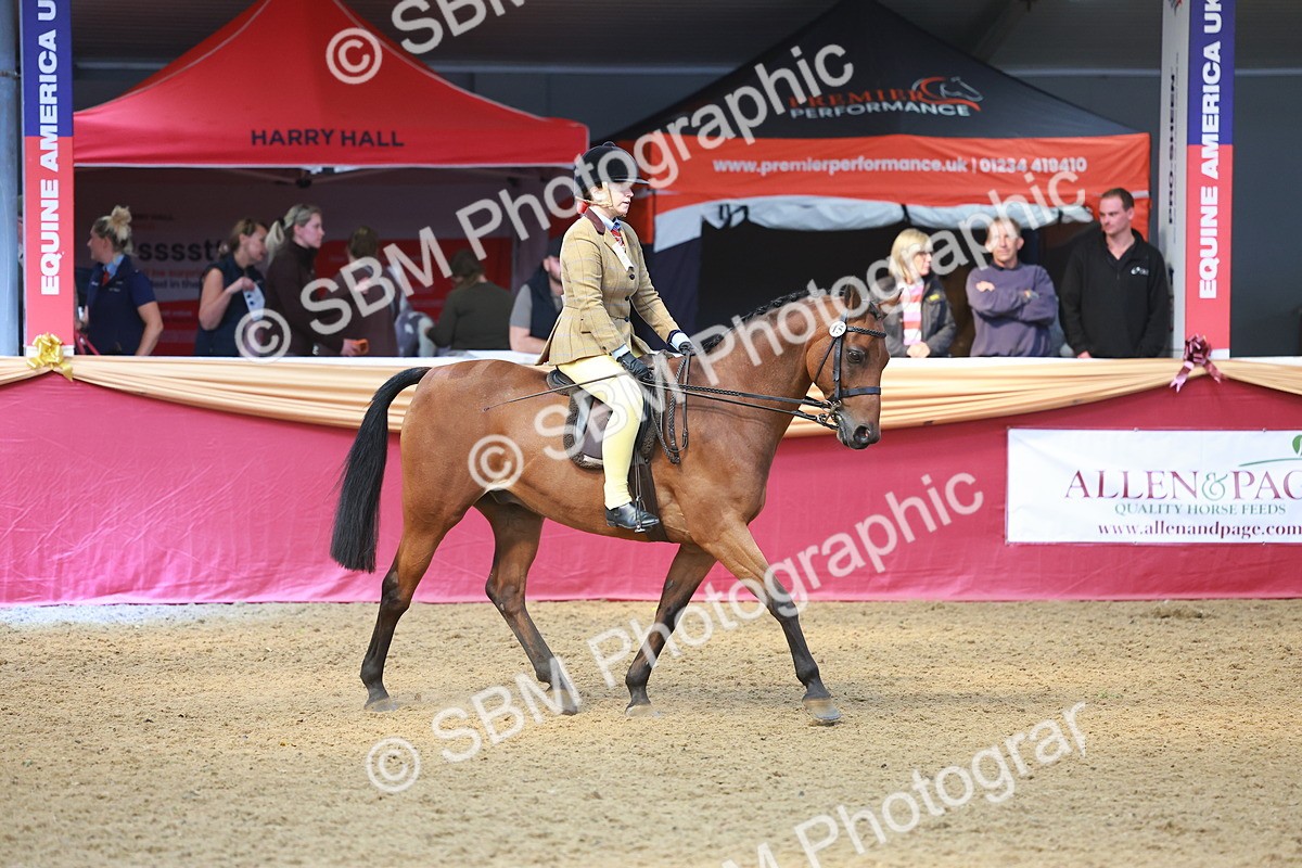 SBM_12583 - Class 103 - HOYS Veteran Qualifier - Ridden Pre Vet