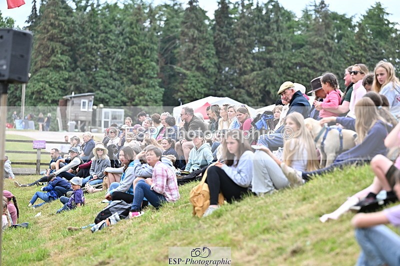 250524A-160932-13212 - Demo Arena Crowds