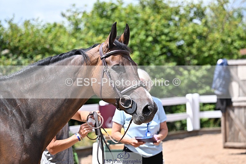 250716-125120-00202 - Trot Up 12.30 to 1.30