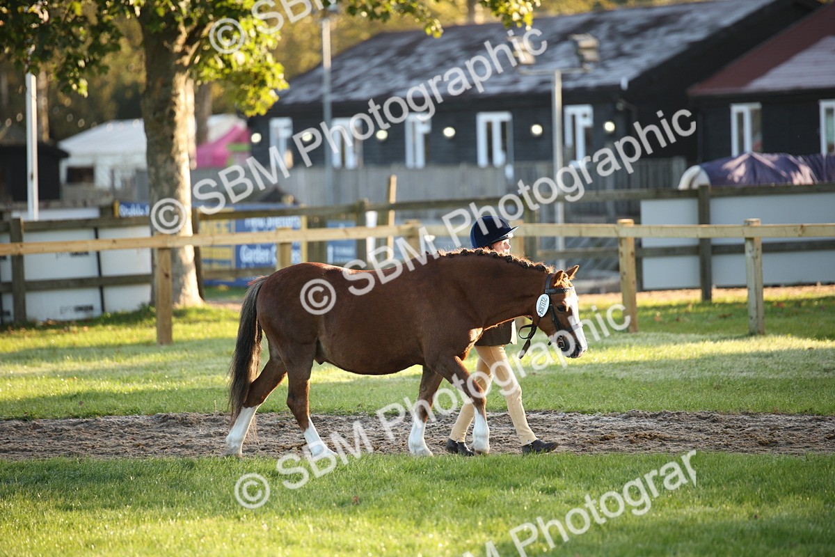 SBM_32267 - S8 - Best Turned Out