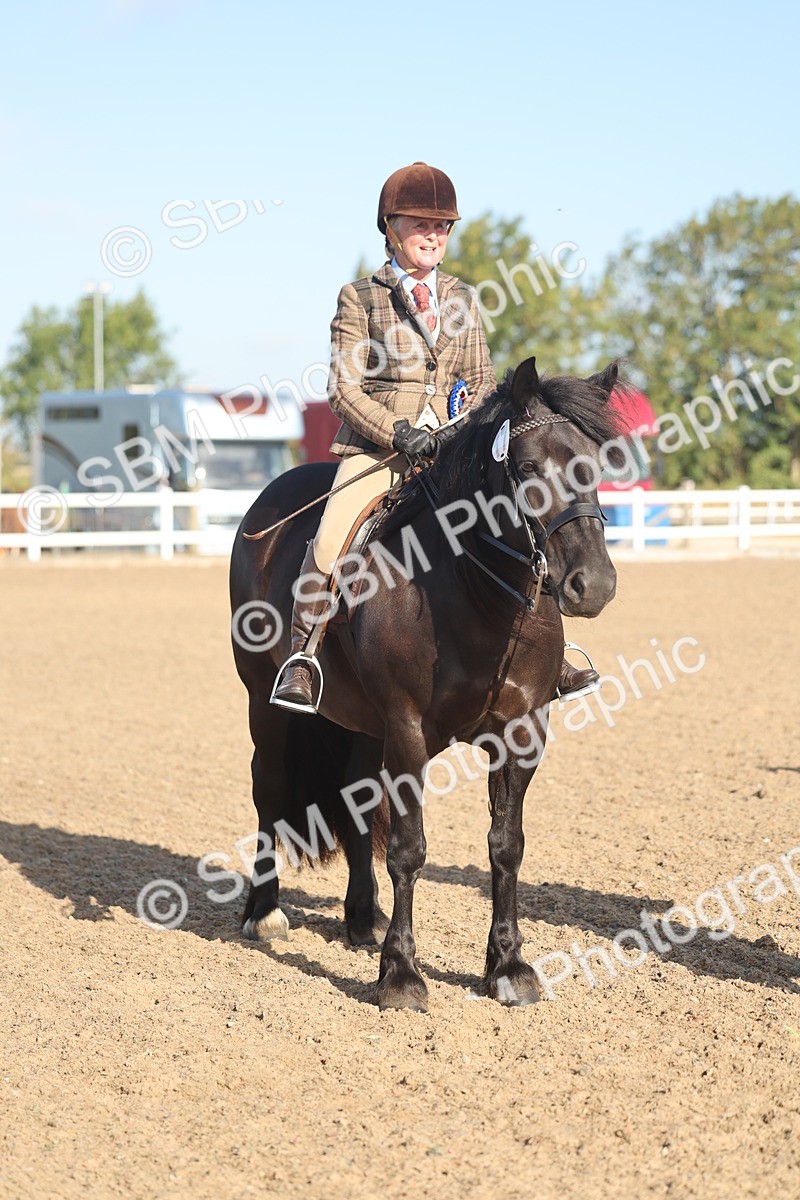 SBM_22144 - Class 801 - Ridden Veterans