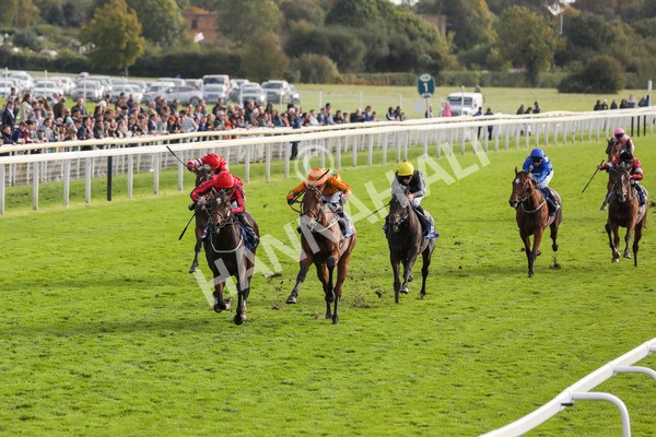 141023-Race 4-Colorada Dancer-0453 - Race 4 3.05pm Coral Racing Club EBF Maiden Stakes