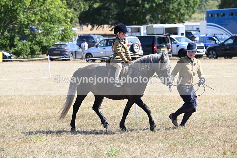 WJ6_7785 - Class 36 Lead Rein