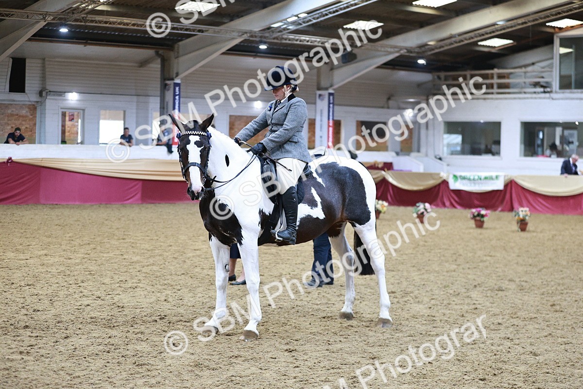 SBM_09084 - Class 12R - Regional Ridden Pre-Vet