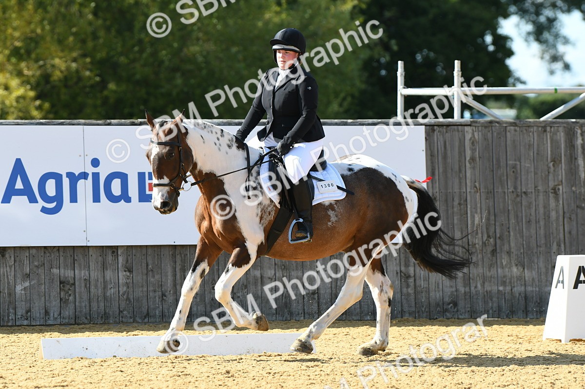 SBM_25081 - D13 - Grand Tour Championship - Prelim 12