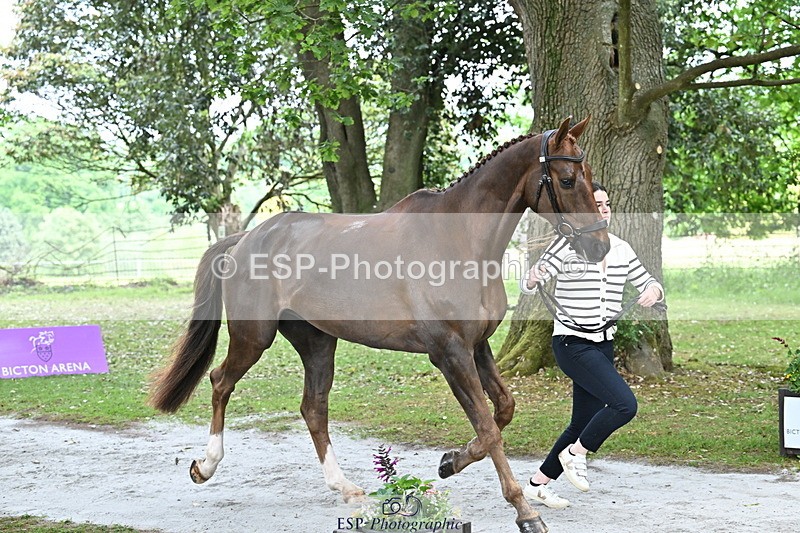 250521A-144308-00190 - A-055-Annabel.Finston-BRAVEHEART.B