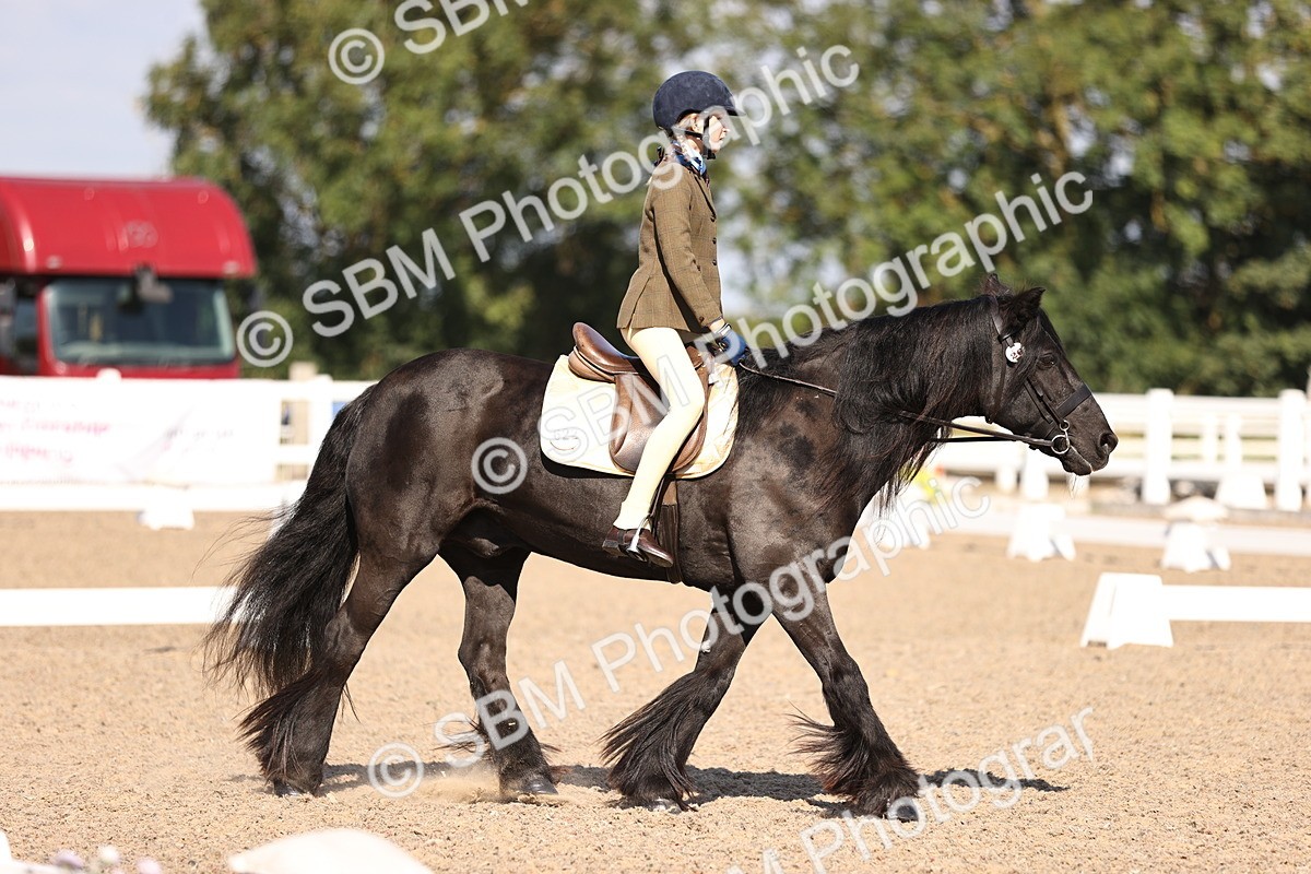 SBM_03478 - CLass 35 Intro 3