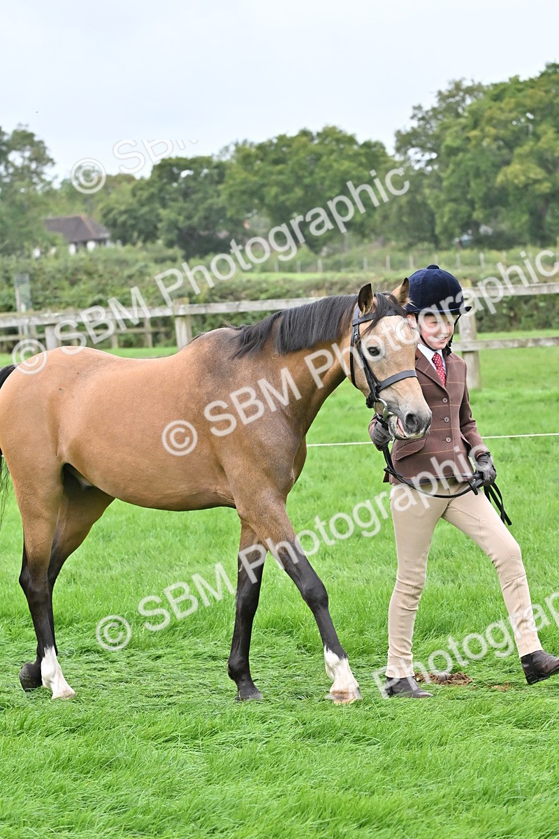 SBM_60905 - S48 - Mountain & Moorland In Hand Small Breeds