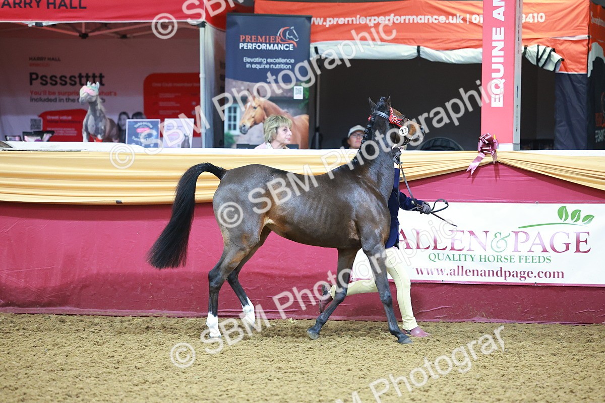 SBM_14579 - Class A - Junior Champ 10 year and Under