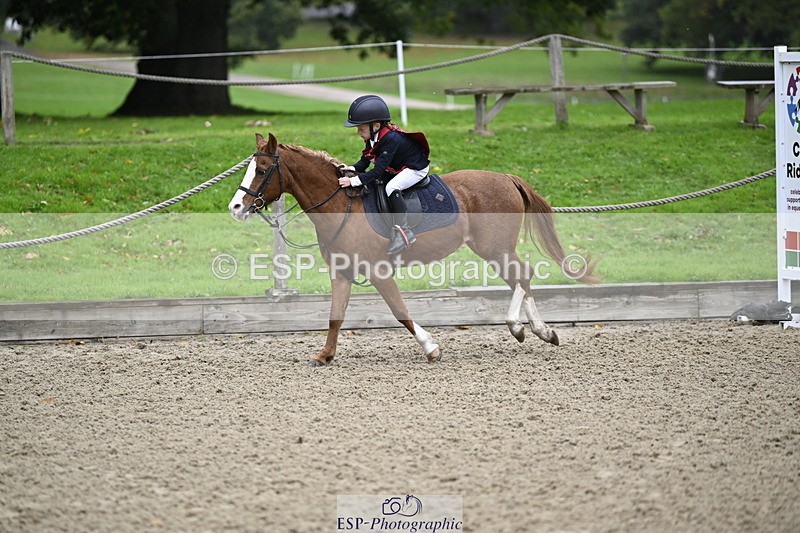 251005A-083435-02830 - Cls 01 GR 40cm