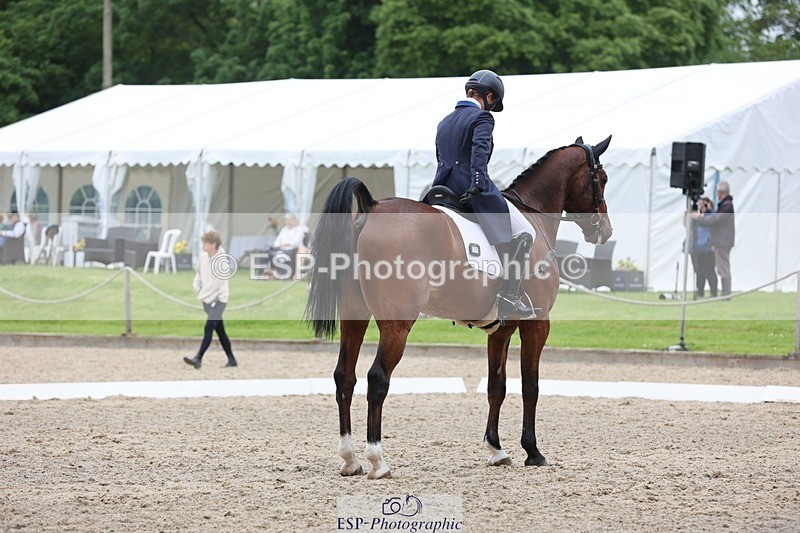 240523-144636-02929 - 229-ROCK_THE_CASPAR-Ali_Wilkes