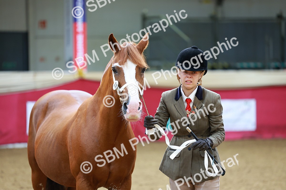 SBM_00574 - Class 3A - IH Pre-Vet