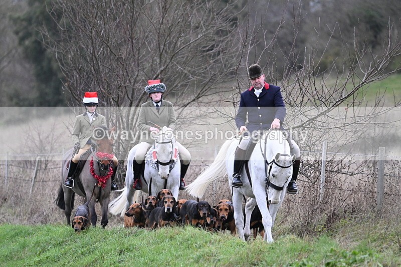 WJ7_0805 - First Seen