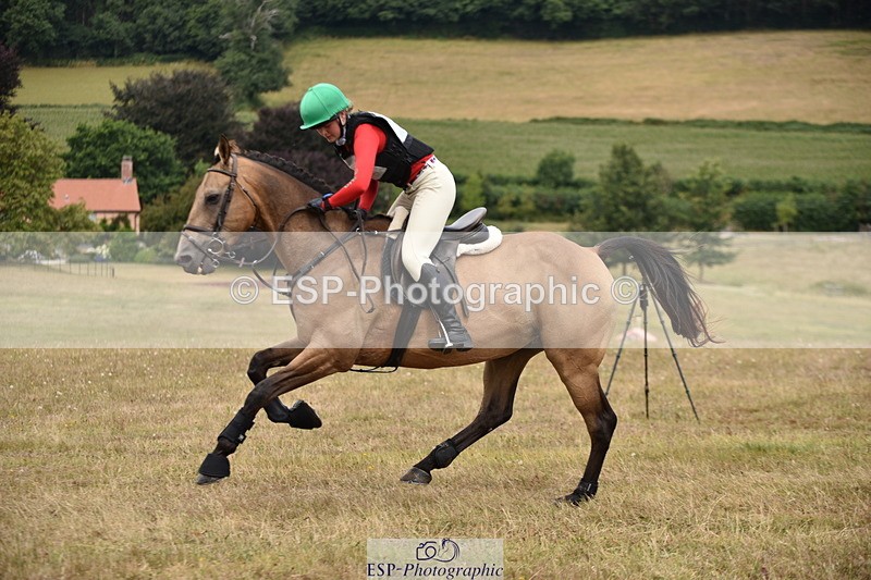 250802A-131208-04497 - A-036-Ottilie.de.Rouet-SILVERSPRINGS.CHATTERBOX