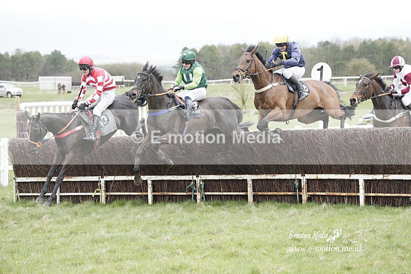 PtP 260323 0491 - New Forest Hounds Point-to-Point Larkhill 26/03/23