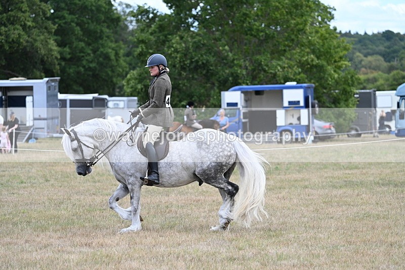 WJ7_4960 - Class 12 Ridden Cob