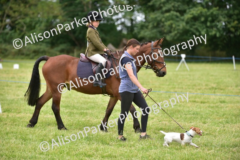 20260614-4522 - Class 19 - Cutest Pony, Rider and Dog Combination