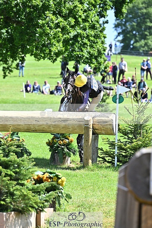 240525-112337-12317 - 353-BIKINI-Rose_De_Montmorency