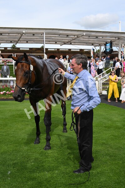 yr08072022r5-32 - Race 5 4.25pm Azets Stakes