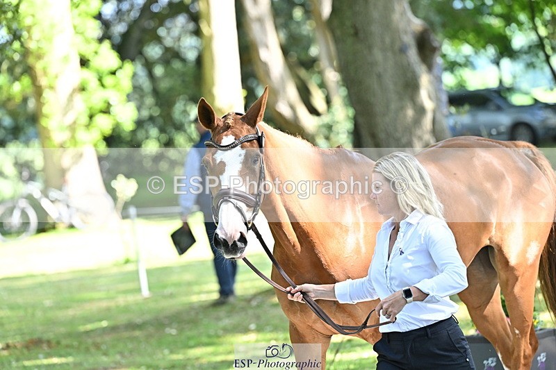 250521A-160151-00873 - C-227-Jonelle.Price-I.LIKE.IT.DE.ROHAN