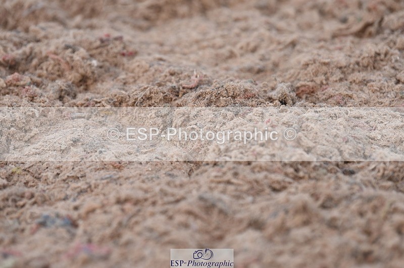 230701A-153332-07422 - Cls 11 Novice 34